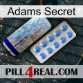 Adams Secret 39